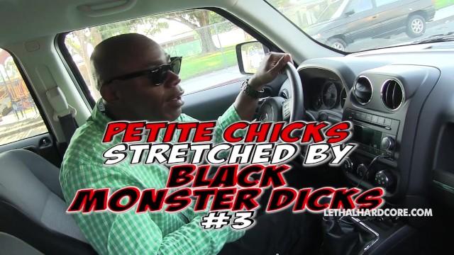 Petite Chicks Stretched by Monster Black Dicks 3 - Scene 1 - 1