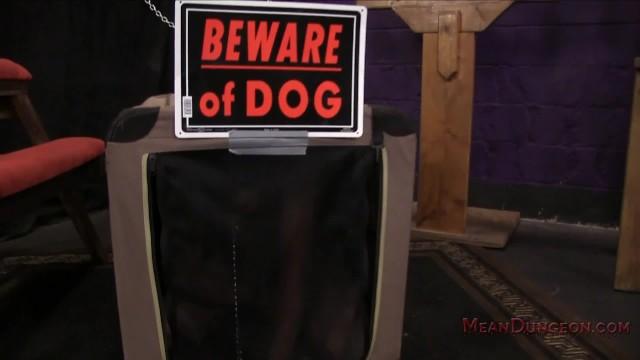 Mistress Lyra Law makes her Slave Worship her like a Dog - Ass Worship - 1