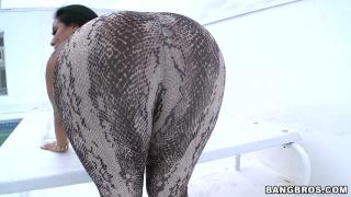 Solo Girl BANGBROS - Brick Danger Fucks Latin Babe Kiara Marie on Ass Parade! Lingerie