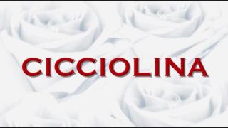 Chat Tribute to...CICCIOLINA-I. STALLER (Top Pornostar) (HD - Refurbished Ver.) Cumswallow