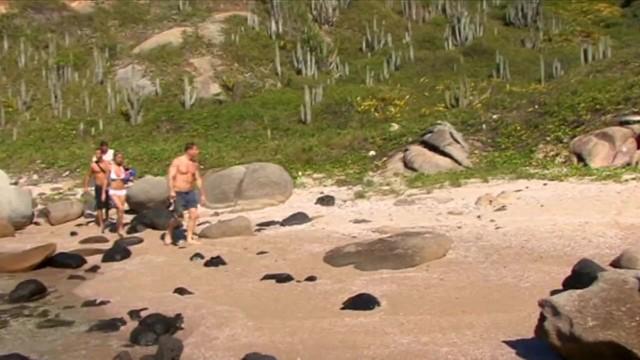 Big Ass Teen with Busty Tits Gets Anal Hard Fucked by three Muscular Men on the Beach - 1