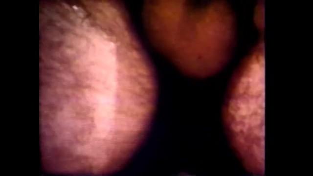 Round Ass The best Vintage Scenes of our Porn Life - Vol. #08 - (Original VINTAGE HD Restyling - Uncut Vers.) Sexzam