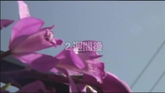 Exotic Japanese slut Sae Mimura in Incredible Masturbation JAV movie - 1