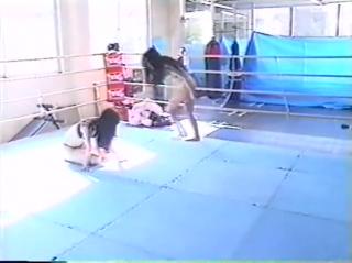 See-Tube Ring Wrestling 11 - Japan Hot Fuck