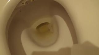 Hot Milf Asian teen pees in toilet GrannyCinema