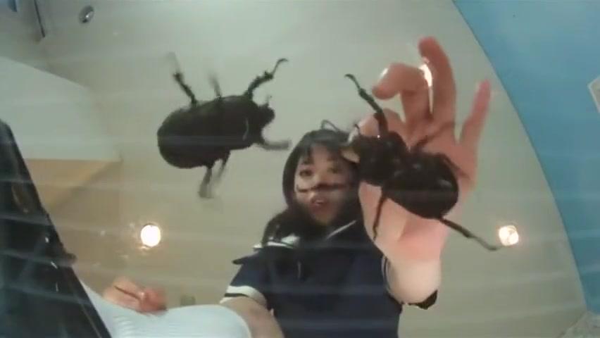 Perfect Girl Porn  Beetle Crush Free Fuck - 1