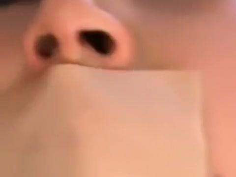 nose licking japanese - 2