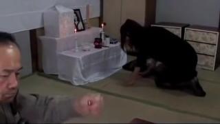 Muslim Horny xxx video Japanese watch unique Ginger