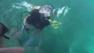 Adult Toys Underwater Sex in Sexy White Outfit Pt1 Gozando