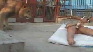 Assfingering Japanese Girl masturbation in front of the Lion Italian