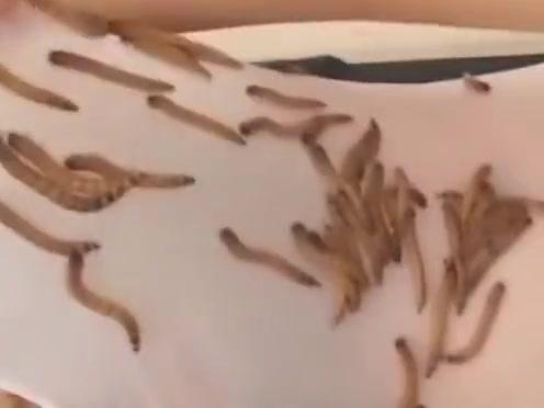 Humiliating Japanese girl with bugs - 2