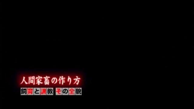 Safari  Hottest Japanese girl Mika Osawa in Horny Fetish, BDSM JAV clip Bizarre - 1